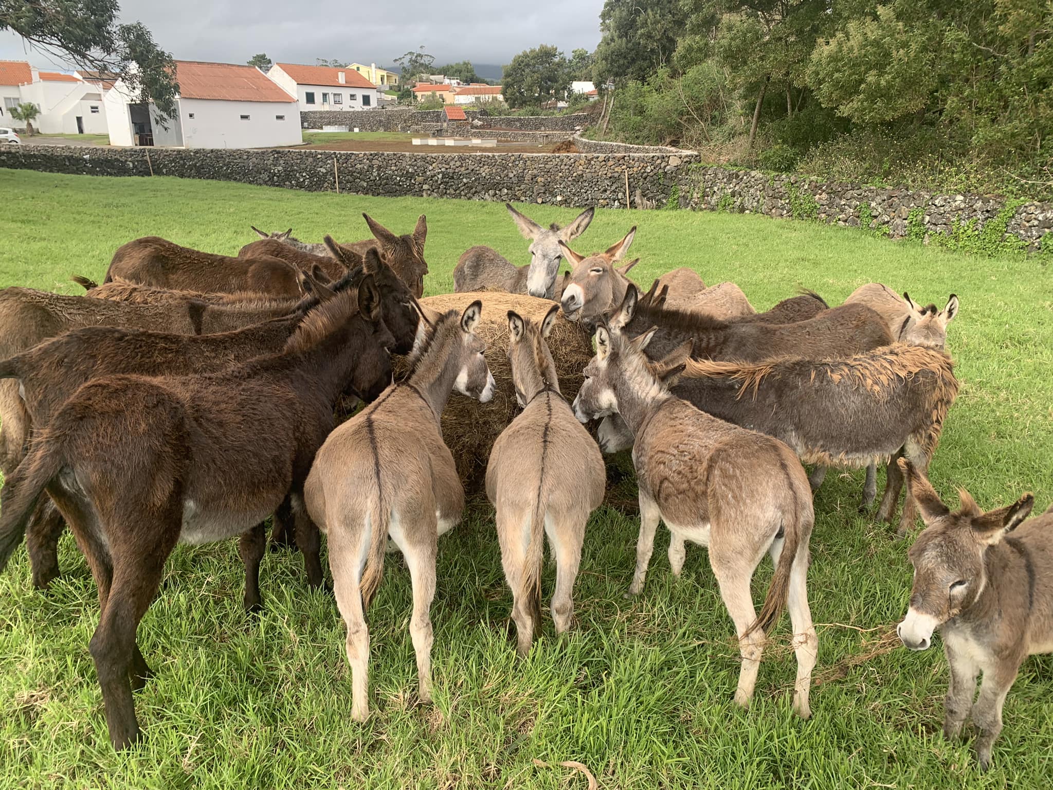 318222470_537301311747253_2818480575485627506_n