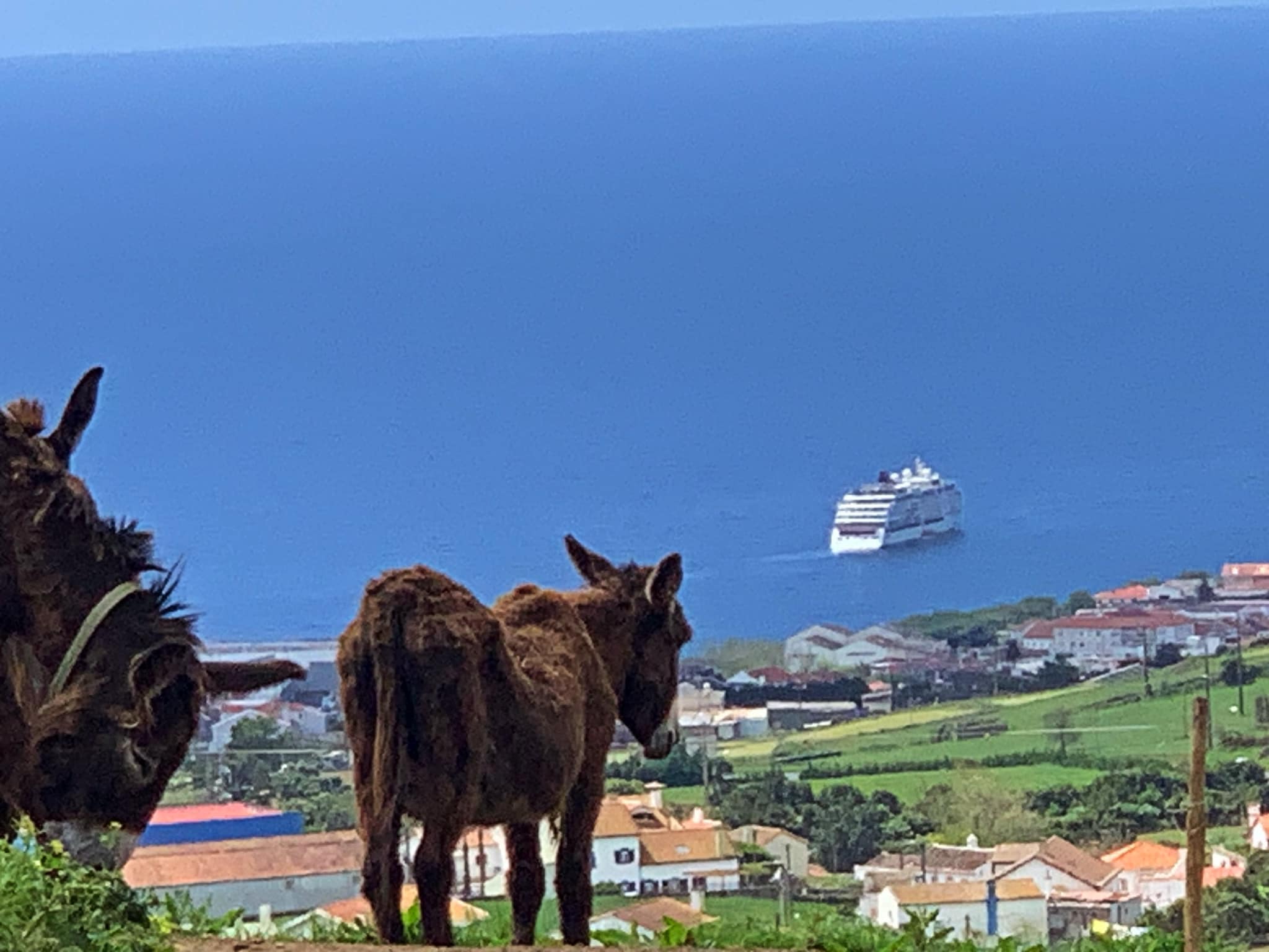 347018995_163297820039845_9061985342779997374_n